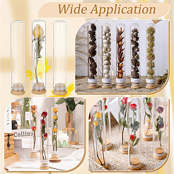10Pcs Glass Bead Storage Tubes&nbsp;AJEW-BC0006-90B