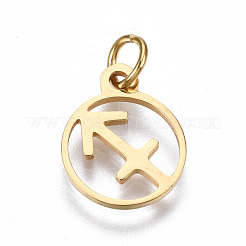 201 Stainless Steel Charms&nbsp;STAS-Q237-M003-8