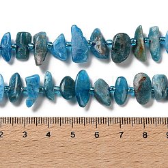 Natural Apatite Beads Strands&nbsp;G-B176-A01-01