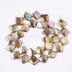 AB Color Natural Freshwater Shell Beads Strands&nbsp;X-SHEL-S274-36