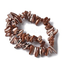 Dyed Natural Trochus Shell Beads Strands&nbsp;SSHEL-C013-09B