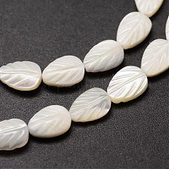 Natural Trochid Shell/Trochus Shell Beads Strands&nbsp;SSHEL-K015-04