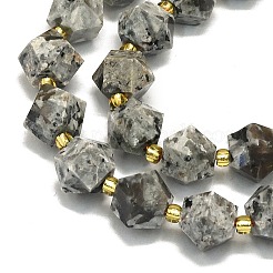 Natural Fluorescent Syenite Rock Beads Strands&nbsp;G-I376-A40-01