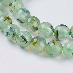 Natural Prehnite Beads Strands&nbsp;G-G457-8mm-03