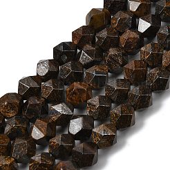 Natural Bronzite Beads Strands&nbsp;G-Z119-A30-02