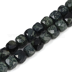 Natural Kambaba Jasper Beads Strands&nbsp;G-H078-C46-6mm