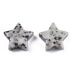Natural Sesame Jasper Agate Star Shaped Worry Stones&nbsp;G-T132-002A-14