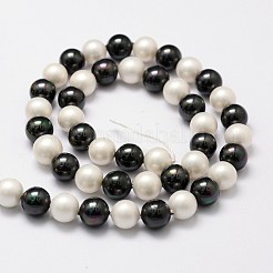 Polished Shell Pearl Bead Strands&nbsp;X-BSHE-F013-07C