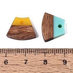 Opaque & Transparent Resin & Walnut Wood Pendants&nbsp;RESI-N053-34