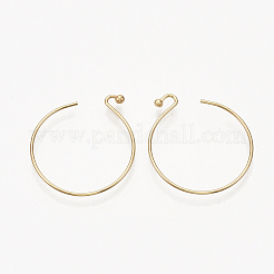 Brass Earring Hooks&nbsp;X-KK-T035-102G