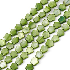 Natural Freshwater Shell Dyed Beads Strands&nbsp;SHEL-K001-001G