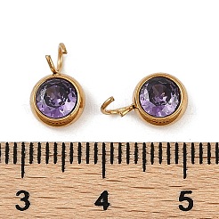Ion Plating(IP) 304 Stainless Steel Micro Pave Cubic Zirconia Charms&nbsp;STAS-Z094-02G-04