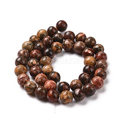 Natural Leopard Skin Jasper Round Beads Strands&nbsp;G-S182-8mm