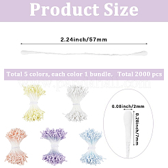 5 Bundles 5 Colors Gypsum with Cotton Cord Artificial Flower Core&nbsp;DIY-GF0014-07A