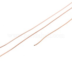 10M 304 Stainless Steel Wire&nbsp;TWIR-N005-0.3mm-RG