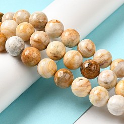 Natural Crazy Lace Agate Beads Strands&nbsp;G-H298-A12-05