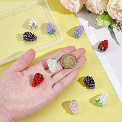 10Pcs 5 Colors Handmade Lampwork Beads&nbsp;LAMP-NB0002-25