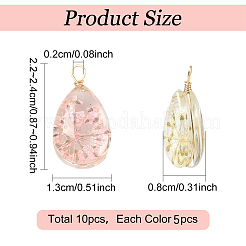 10Pcs 2 Colors Glass Pendants&nbsp;GLAA-YW0005-46