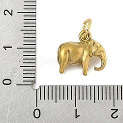 304 Stainless Steel Charms&nbsp;STAS-P391-01C-G