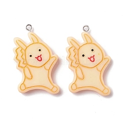 Opaque Resin Pendants&nbsp;CRES-I027-05P