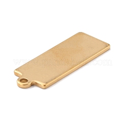 Ion Plating(IP) 201 Stainless Steel Pendant&nbsp;STAS-Z038-04G