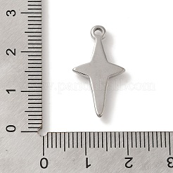 304 Stainless Steel Pendants&nbsp;STAS-C110-02P