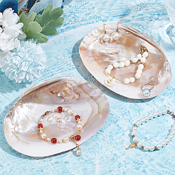 2Pcs Natural Freshwater Pearl Shell Decoration&nbsp;SHEL-NB0001-64
