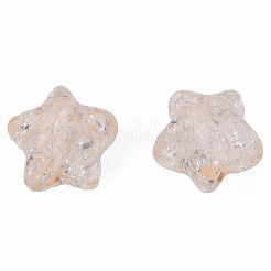 Transparent Crackle Acrylic Beads&nbsp;X-CACR-N006-13-A01