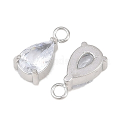 304 Stainless Steel Pave Cubic Zirconia Pendants&nbsp;STAS-P434-01P