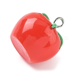 Opaque Resin Pendants&nbsp;RESI-G107-04G