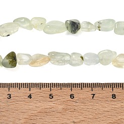 Natural Prehnite Beads Strands&nbsp;G-C286-A23