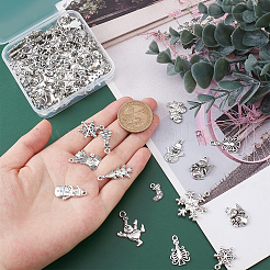 120Pcs 12 Style Tibetan Style Alloy Pendants&nbsp;TIBE-SC0001-64