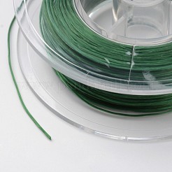 Japanese Eco-Friendly Dyed Flat Elastic Crystal String&nbsp;EW-F005-0.6mm-10