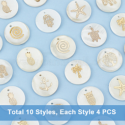 40Pcs 10 Style Natural Freshwater Shell Pendants&nbsp;SHEL-PH0001-20
