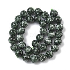 Natural Seraphinite Beads Strands&nbsp;G-C270-O01-11