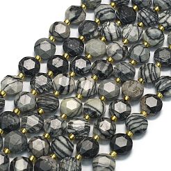 Natural Black Netstone Beads Strands&nbsp;G-C116-A147-01