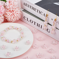 120Pcs Transparent Acrylic Beads&nbsp;TACR-SP0001-11B