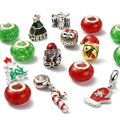 DIY European Bracelet Making Kit&nbsp;DIY-YW0005-87