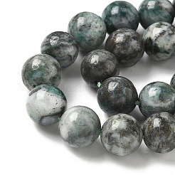 Natural Dioptase Beads Strands&nbsp;G-D302-02-10mm