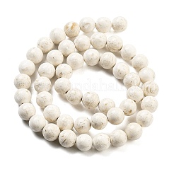 Natural Fossil Beads Strands&nbsp;G-H026-02A