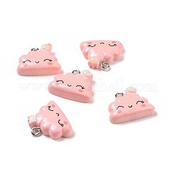 Opaque Resin Pendants&nbsp;RESI-J023-14D