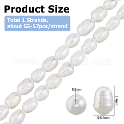 1 Strand Natural Cultured Freshwater Pearl Beads Strands&nbsp;PEAR-HS0001-18