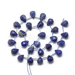 Natural Lapis Lazuli Beads Strands&nbsp;G-R435-15D