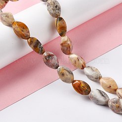 Natural Crazy Lace Agate Beads Strands&nbsp;G-L243A-20