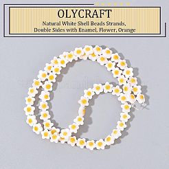 Natural White Shell Beads Strands&nbsp;SHEL-OC0001-02