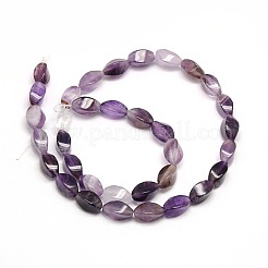 Natural Twist Amethyst Beads Strands&nbsp;G-L243B-03