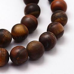 Frosted Natural Tiger Eye Beads Strands&nbsp;G-F364-18-10mm