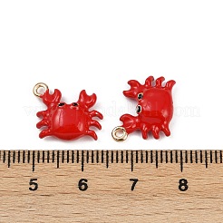 Brass Alloy Charms&nbsp;KK-R226-15G-02
