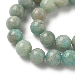Natural Amazonite Beads Strands&nbsp;G-K068-03-8mm