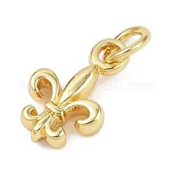 Brass Pendants&nbsp;KK-L231-09G